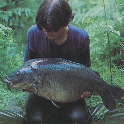 Terry Hearn