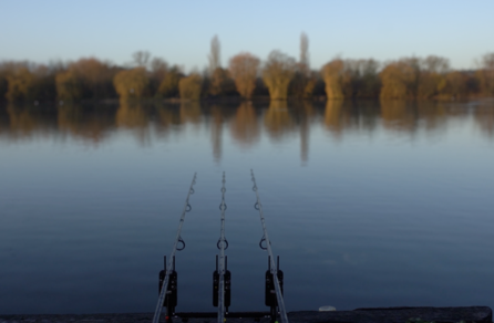 CARPology On Tour: Willow Park