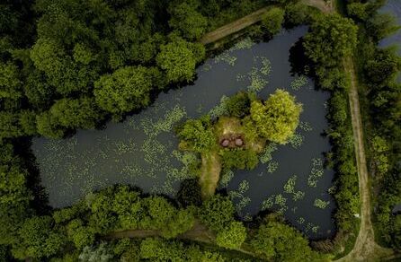 CARPology On Tour with The Carp Specialist: 72hrs at Carpinsula, Belgium