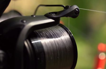 Daiwa 19 Emblem 45 SCW QD Reel Review