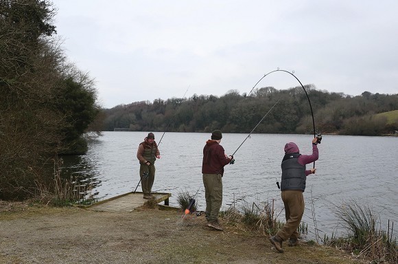 Spod and Spomb rods over £150