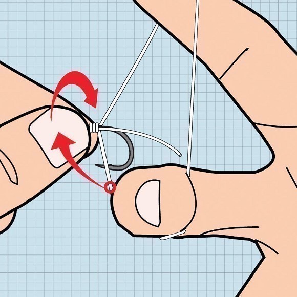 Stiff rig know-how: The Snell Knot