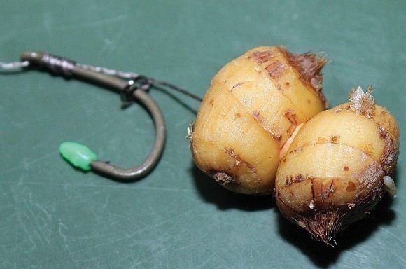 How to make a tiger nut snowman hookbait