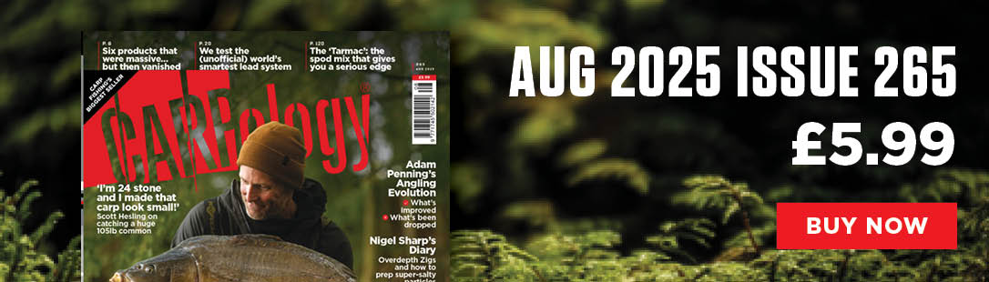 August 2025 Issue
