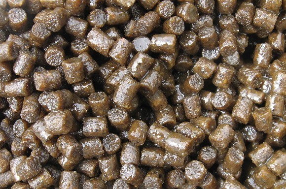 Should you use pellets in winter?