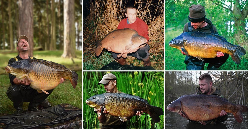 The 50 Greatest Carp Of All Time: Part 3