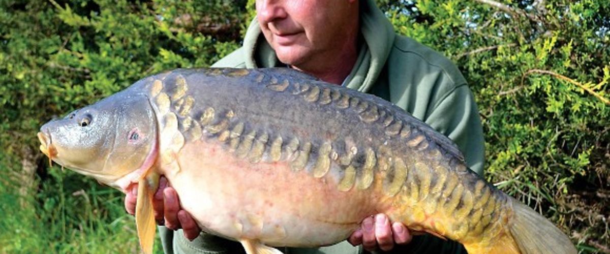The legendary D-Rig, a leader for carp fishing