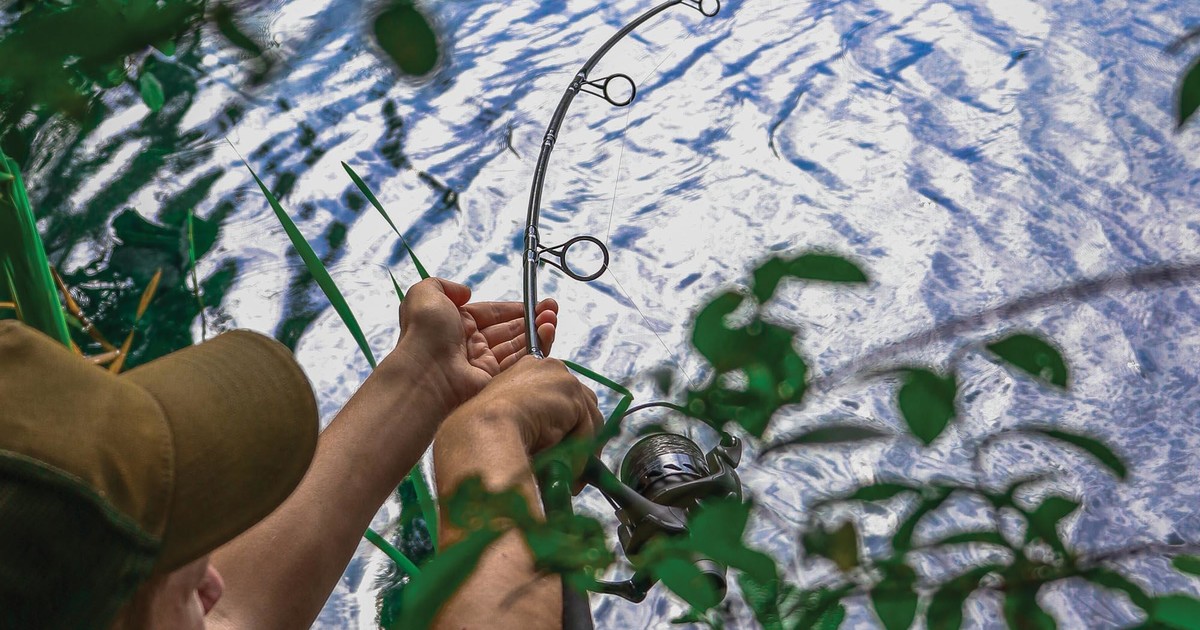 Fox Explorer 8-10ft Retractable Carp Fishing Rods – The Tackle Shack