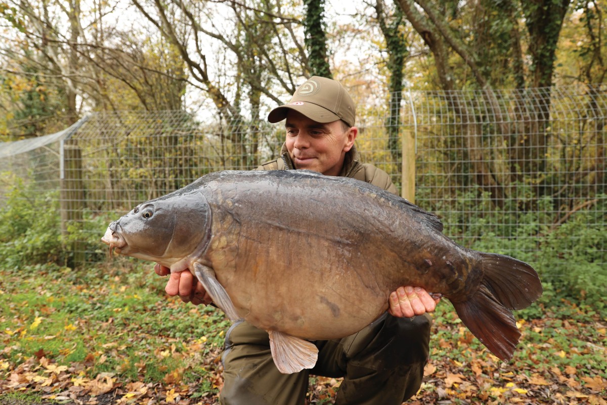 Mainline Bait Winter Top Tip's