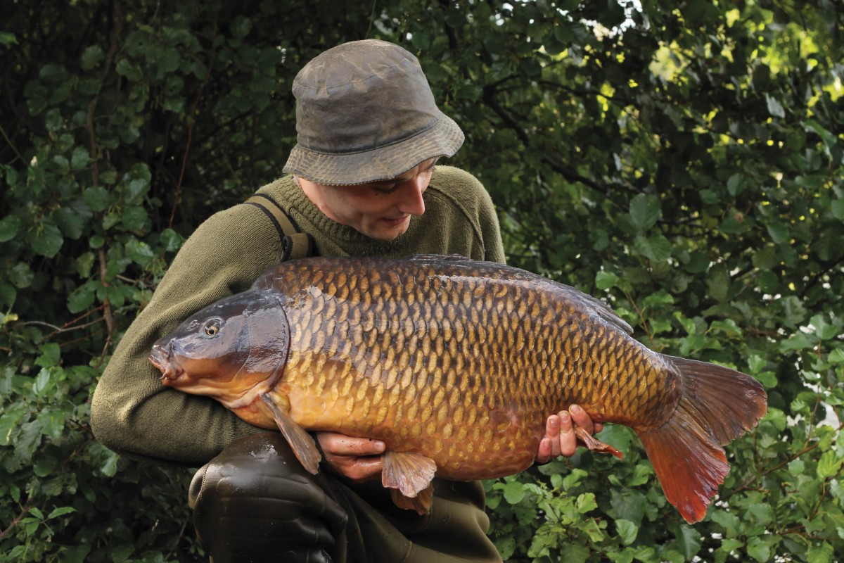 Tom Stokes: Catcher Of Big Carp