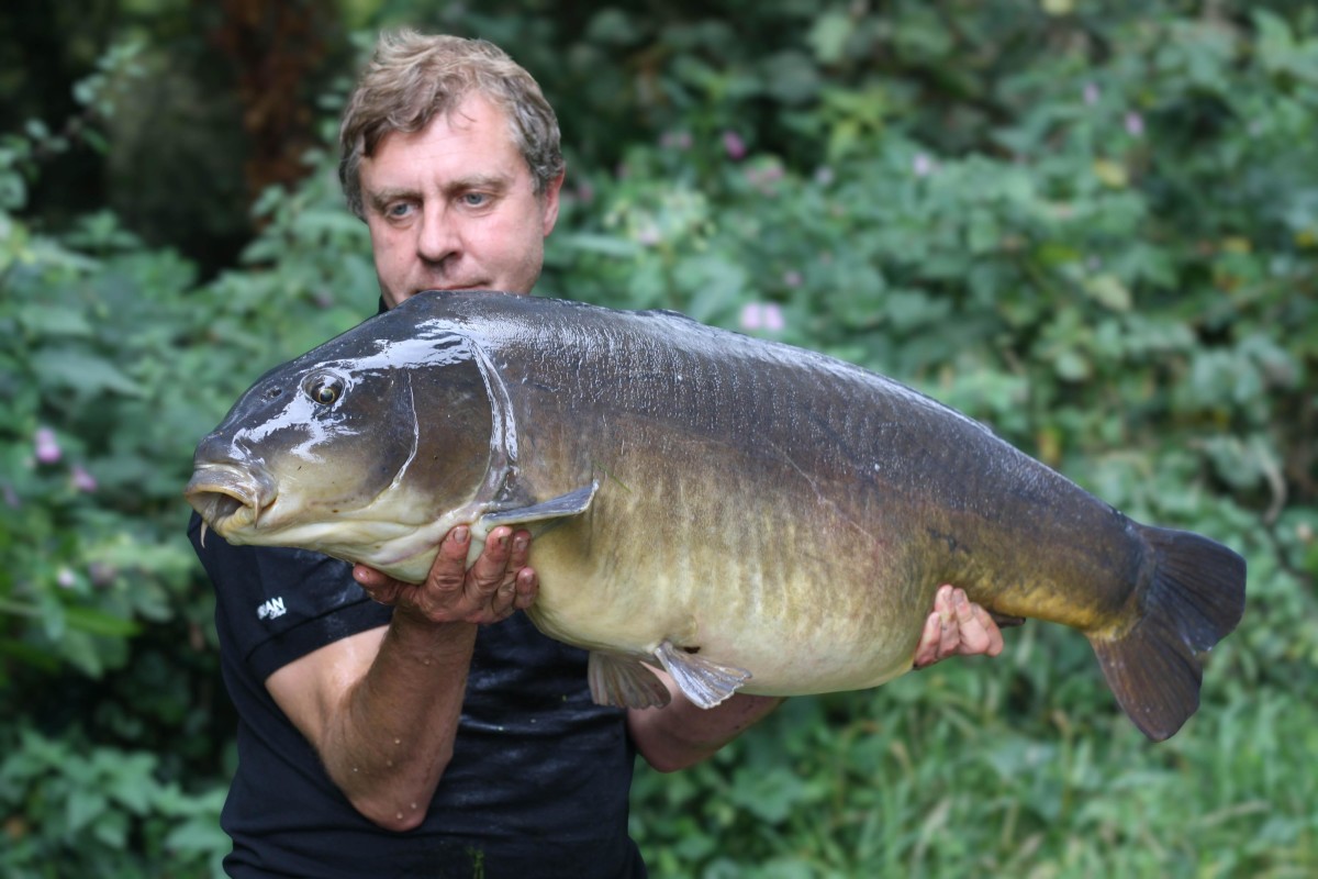 https://www.carpology.net/uploads/cms/blog/3299/dempsey-221-04-image-banner.jpg