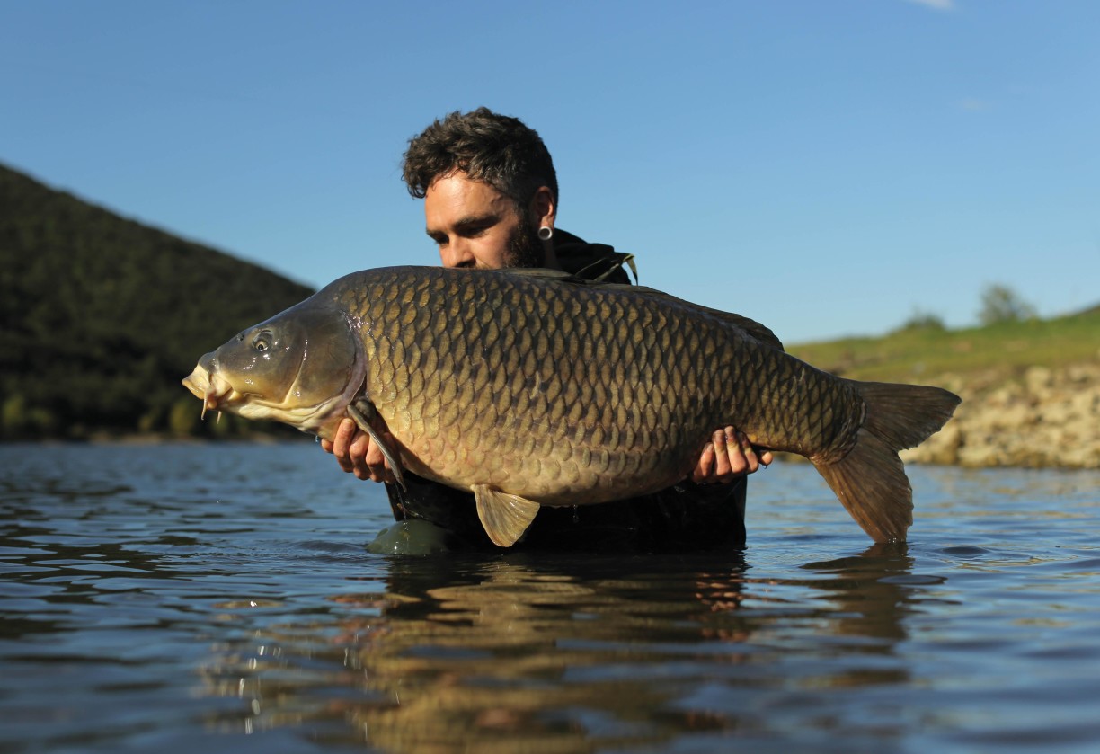 Bait According To Gareth Fareham