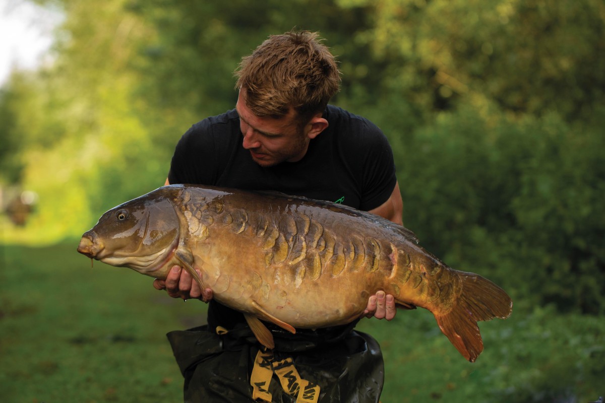 Rig Tacklebox with rig bits boxes - Monster Carp Specialist