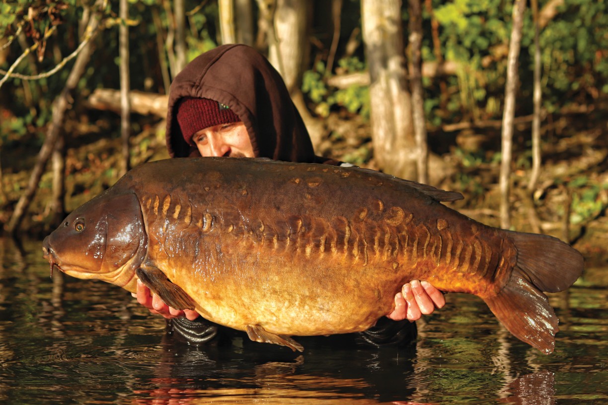 Carp Fishing Gear, Everything You Need To Succeed
