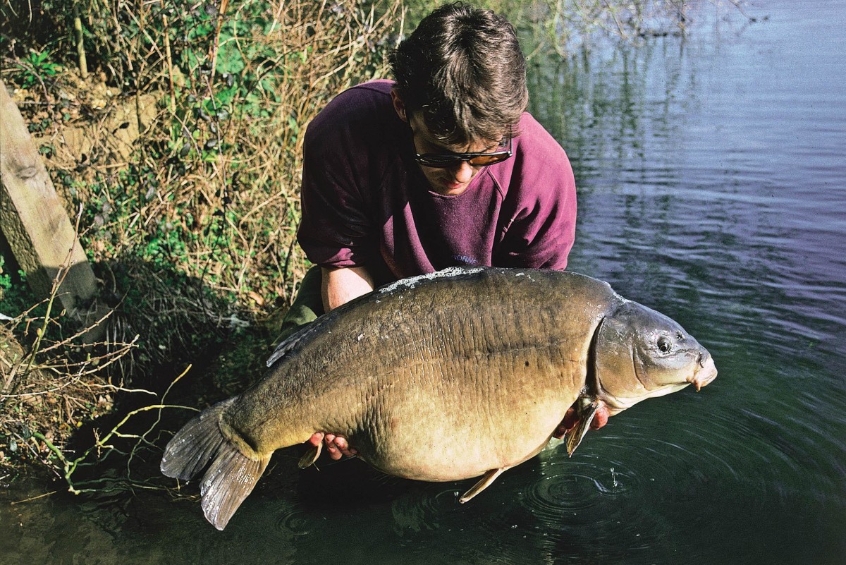 Why Are There So Few Leather Carp?