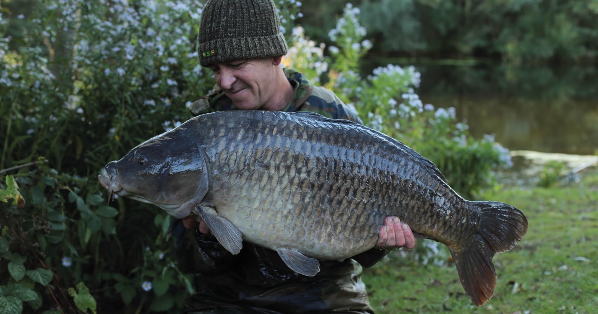 Bait According To Terry Hearn