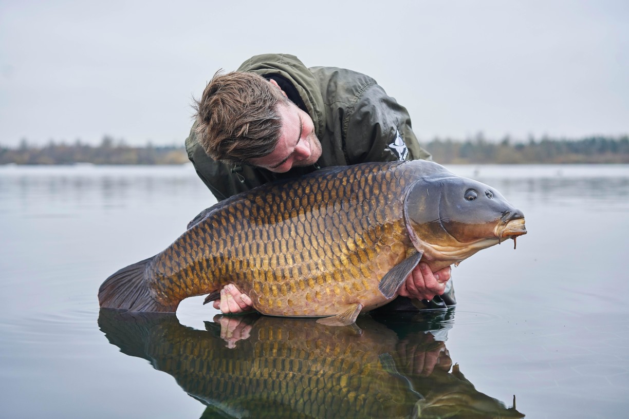 Quick change carp rigs set up rods fast