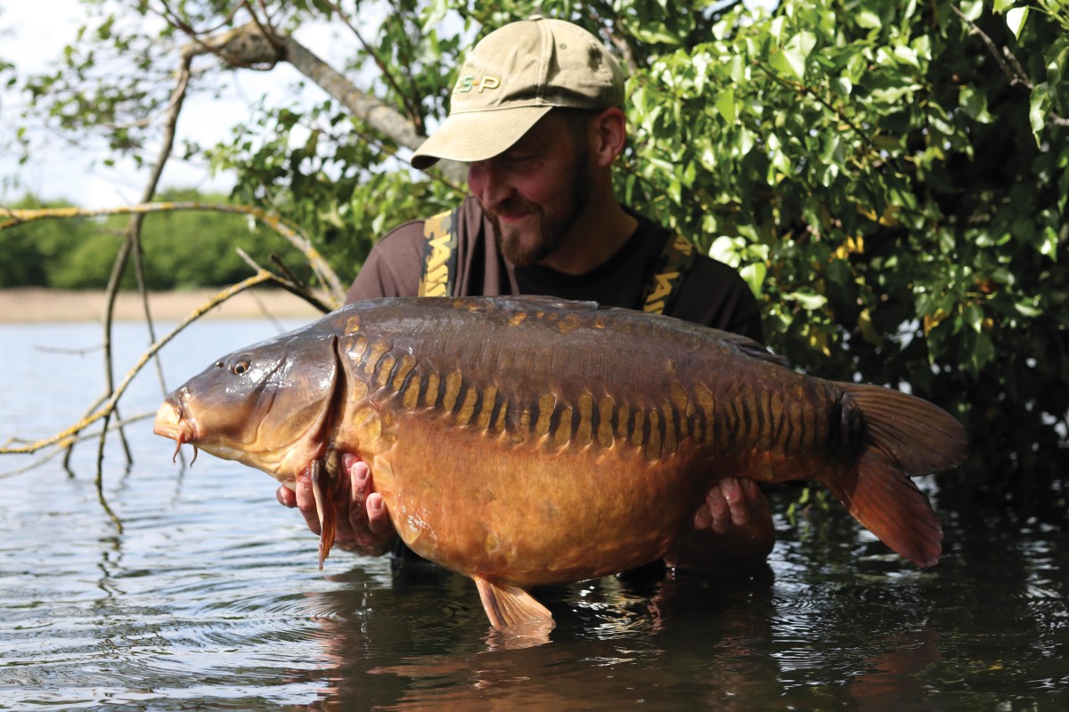 https://www.carpology.net/uploads/cms/blog/3507/west-231-08a-image-banner.jpg