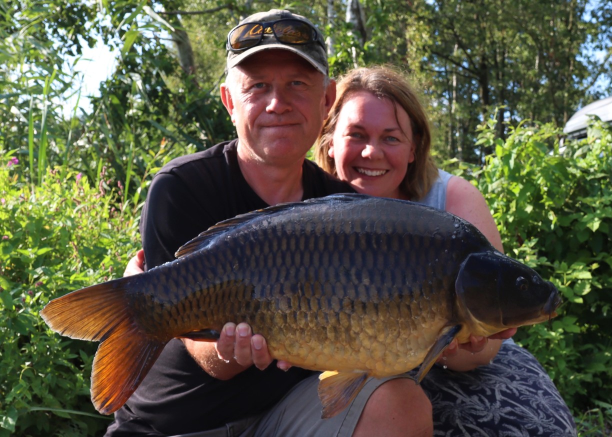 Free Photos Close-up of a carp that brings its face closer to the surface  of the water, carp face