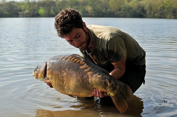 How to avoid catfish and target carp only on a carp & catfish lake -  Beausoleil