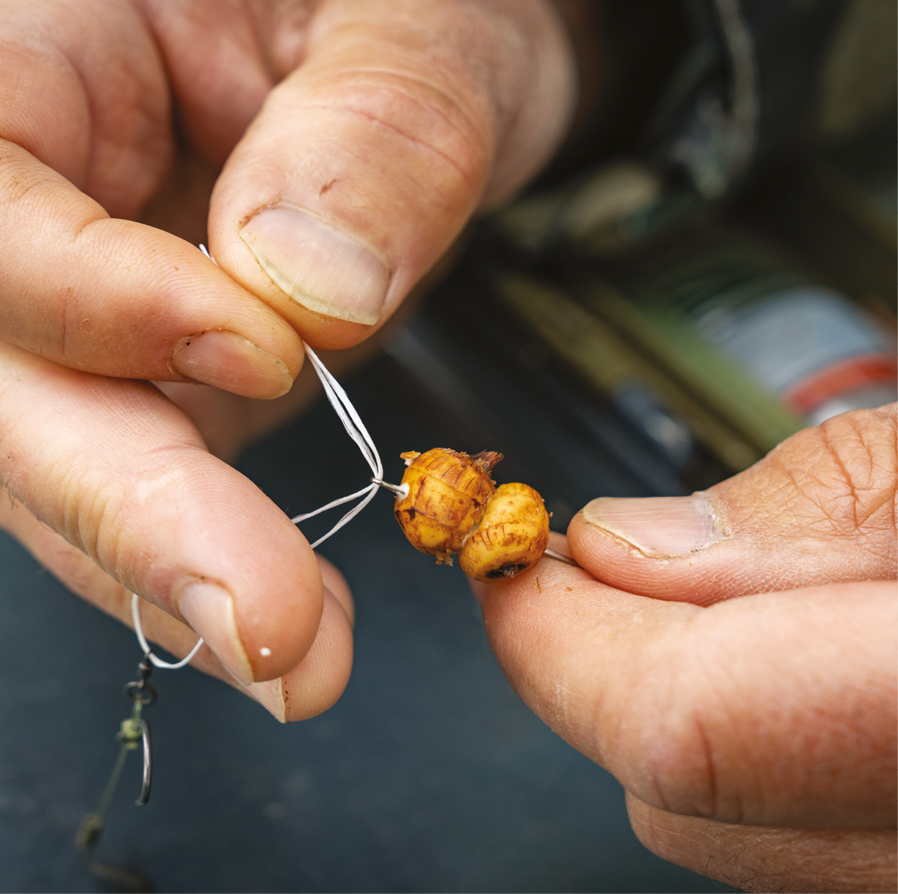 The Perfect Rig For The Perfect Bait