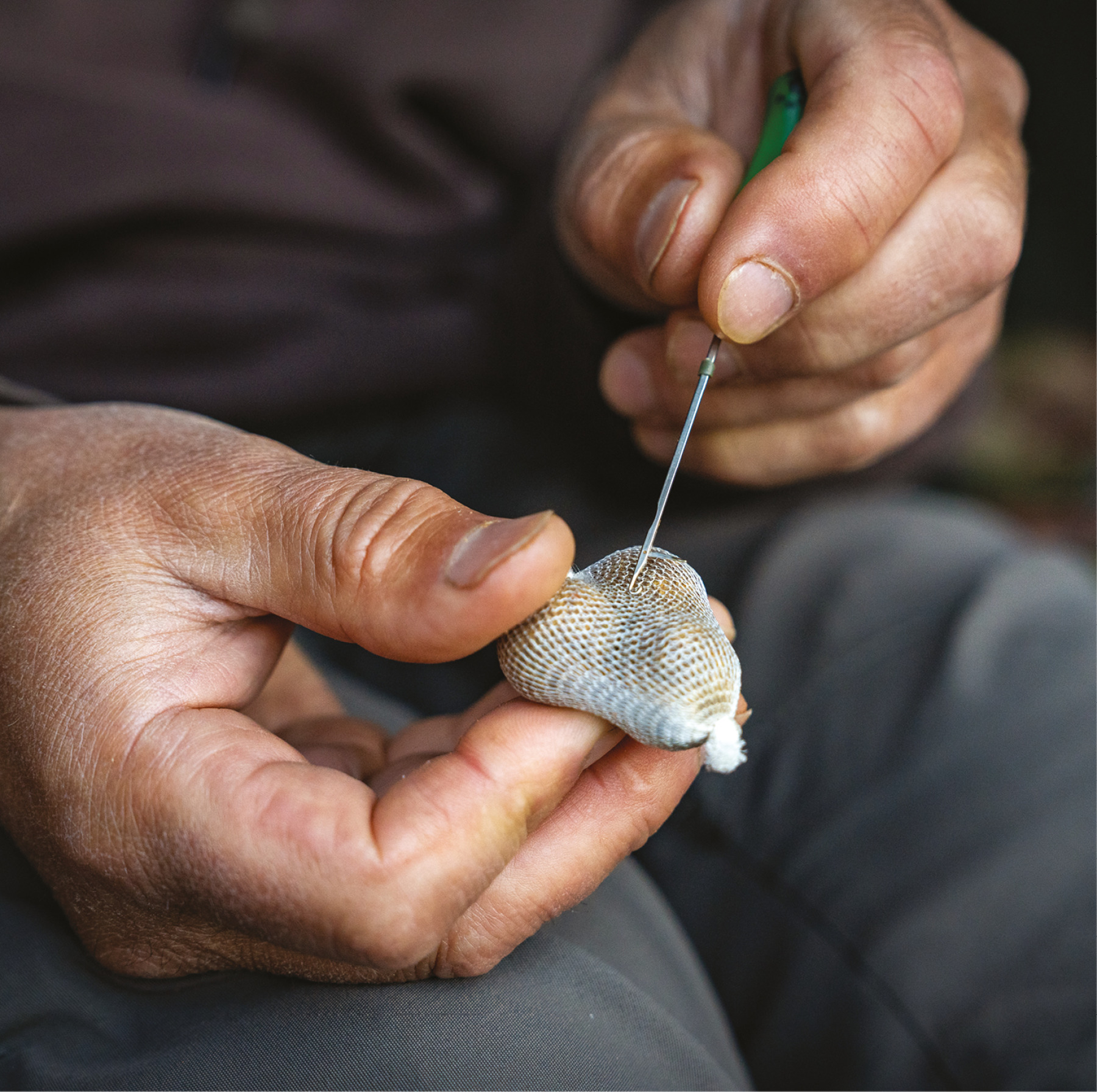 4. Using a gate-latch baiting needle, pass it through the mesh. 