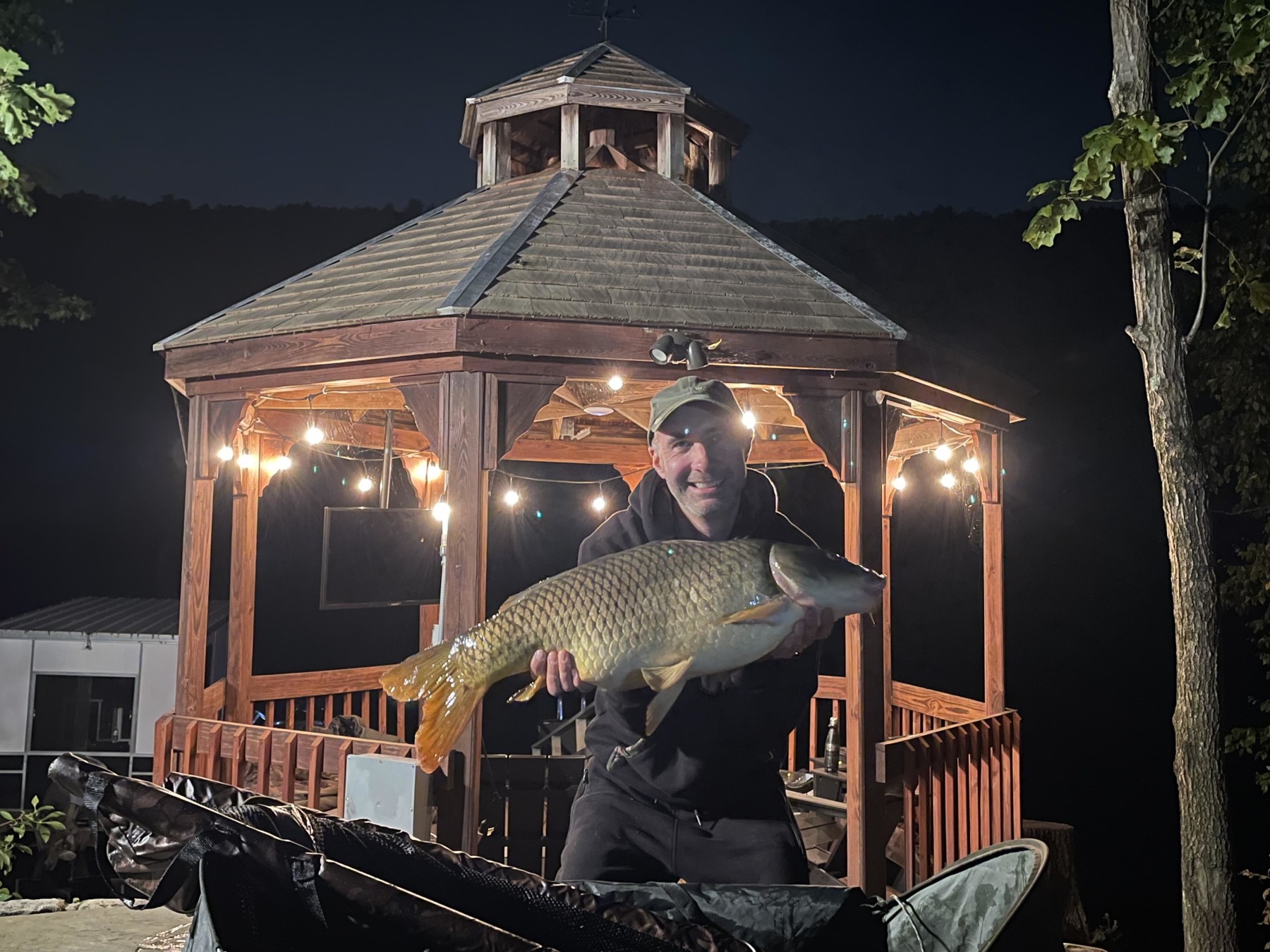 A low twenty common with the gondola in the background