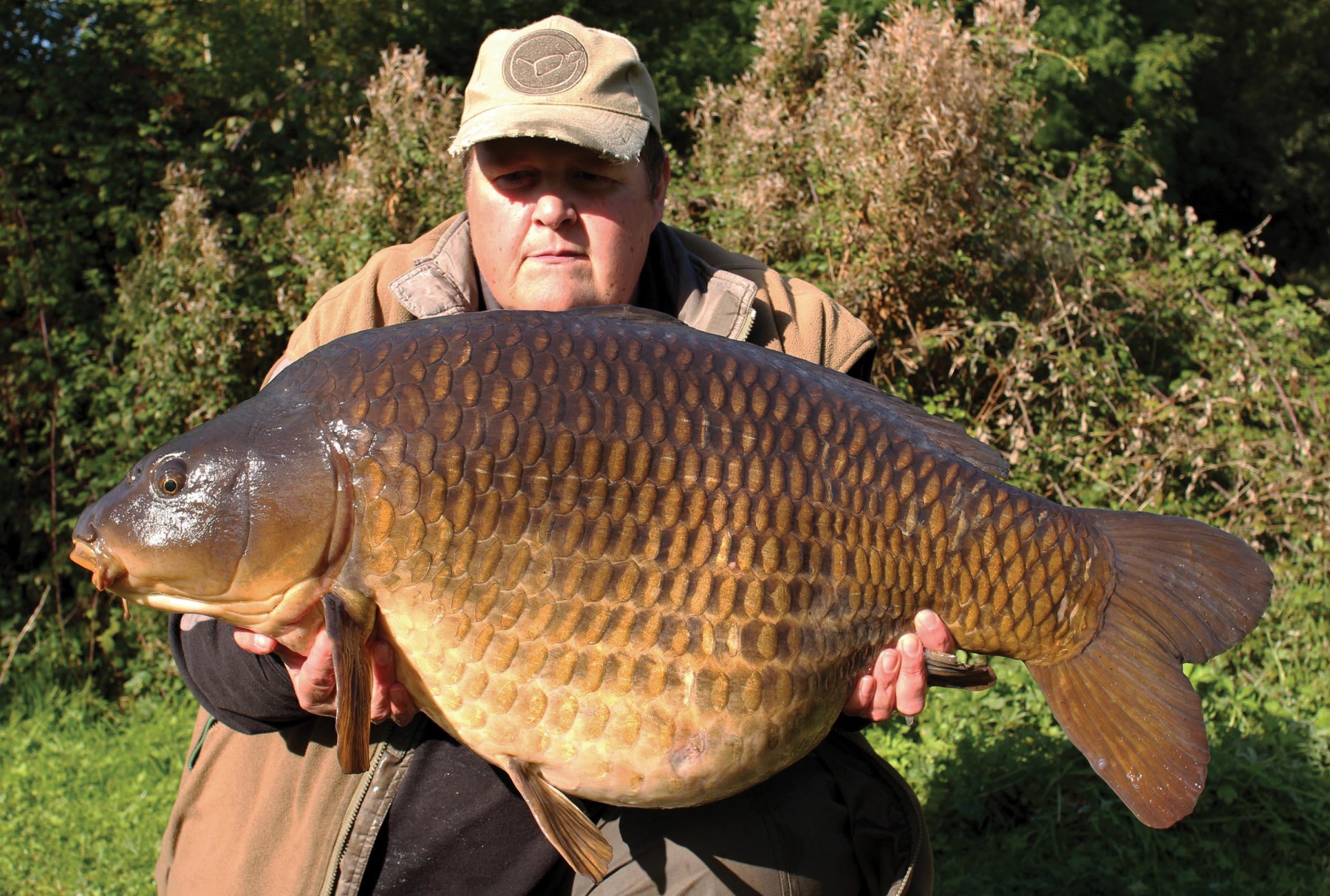 





 



A 43lb common from more recent times 