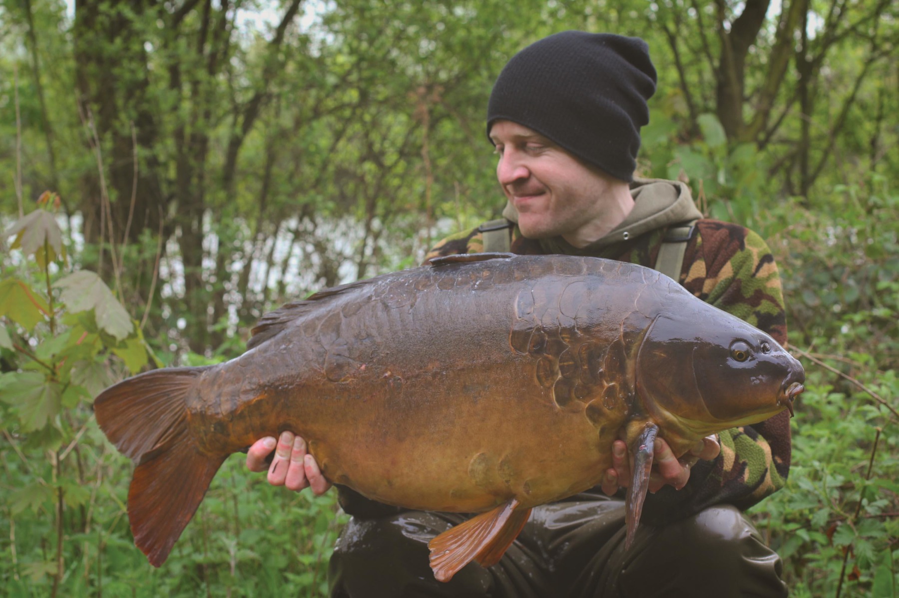 The Soft Hinge, much like the original Hinged Stiff Rig, proved successful in singling out the better fish but I still felt it lacked the overall effectiveness of the 360º. A stunning carp called Cluster from Pingewood