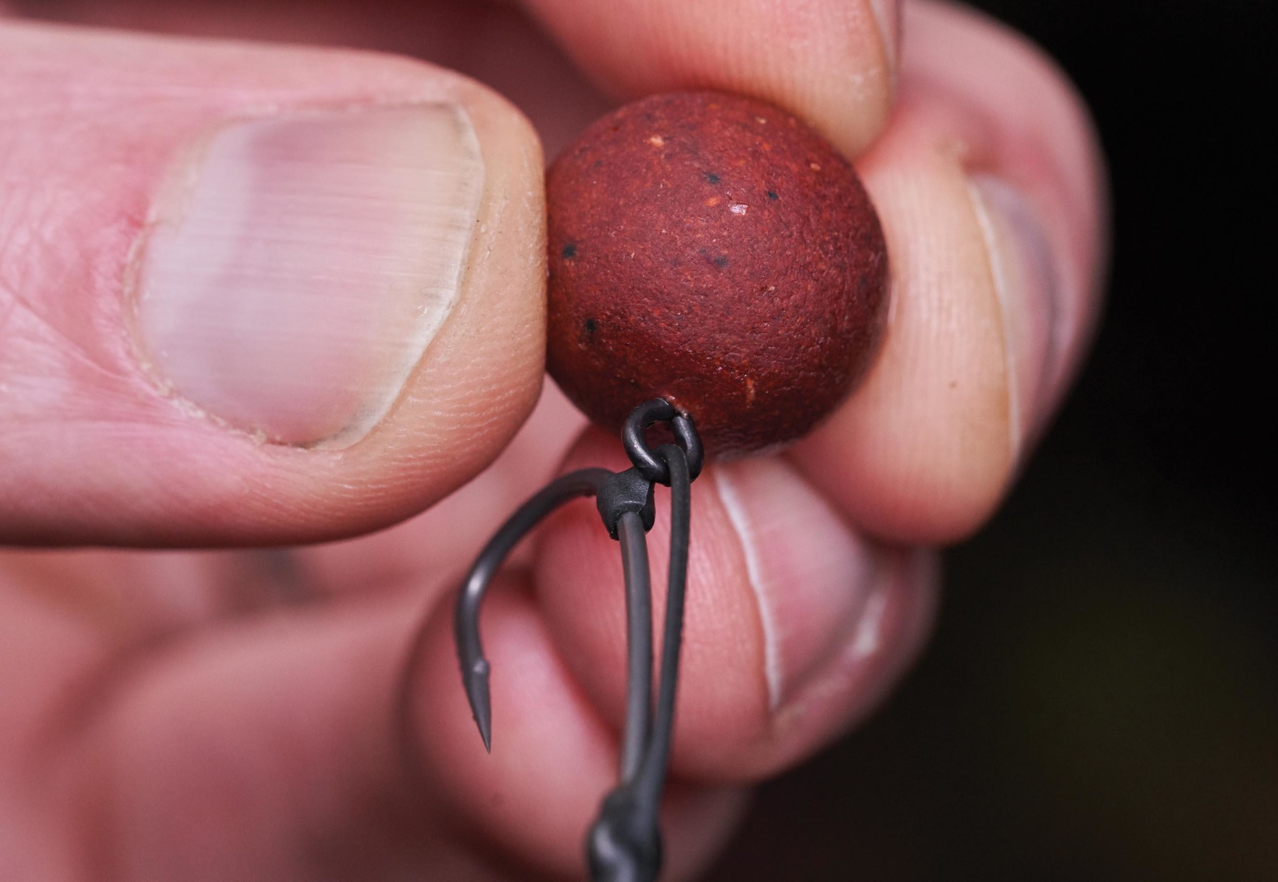 For corkball pop-ups, I much prefer a bore ring. Not only is this a super-convenient way of attaching them, but it also reduces swelling of
the hookbait
