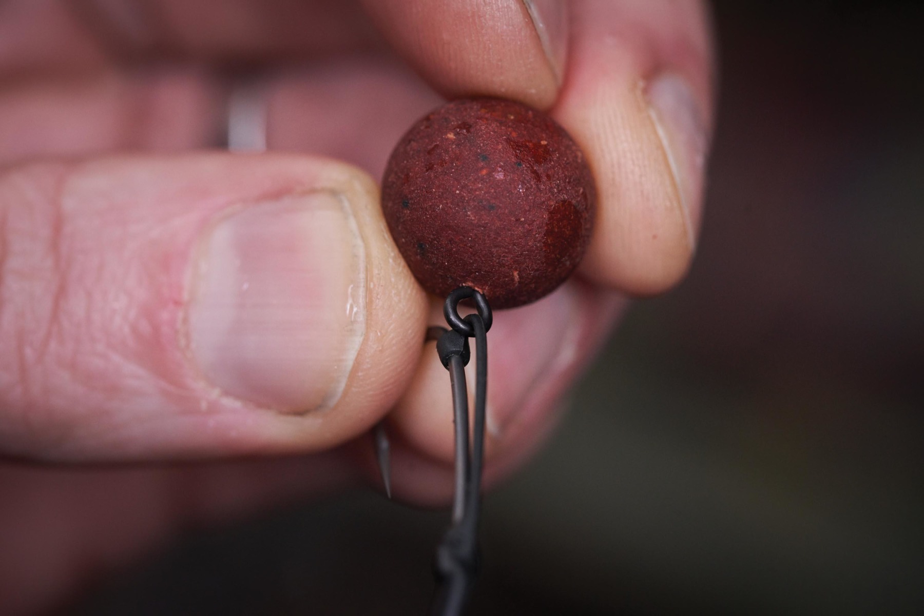 In reference to his hookbait attachment, when using corkball pop-ups, Phil’s happy to use a Hookbait Screw.