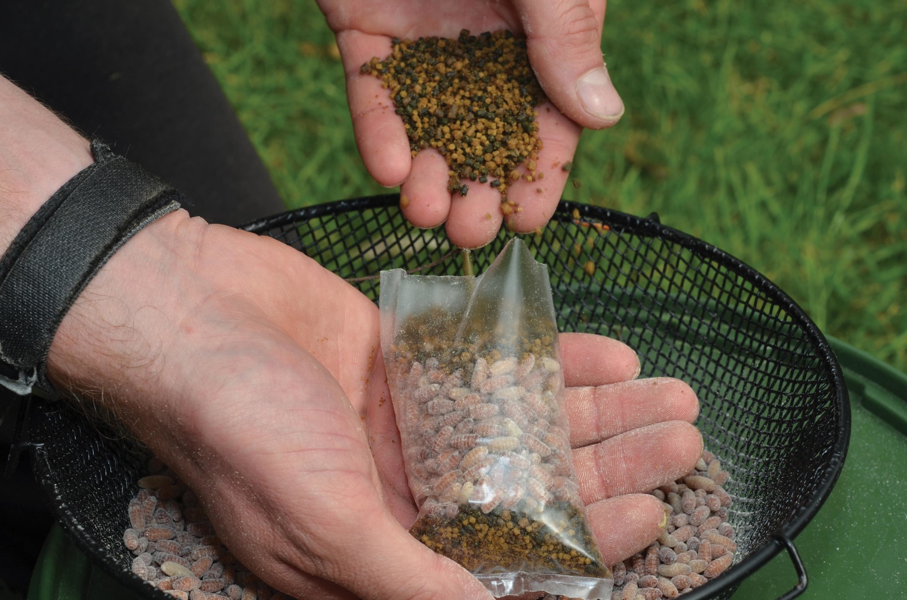 4. 





 
 



Finish by adding a few more handfuls of mini pellets.