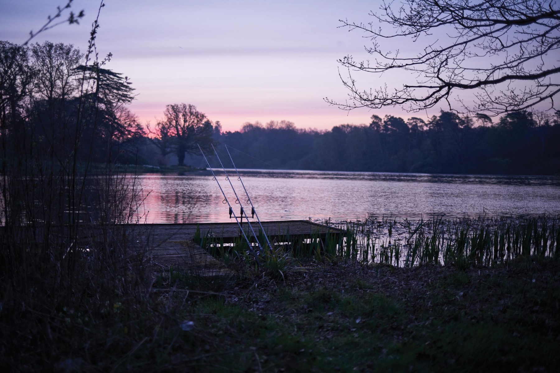 The first morning