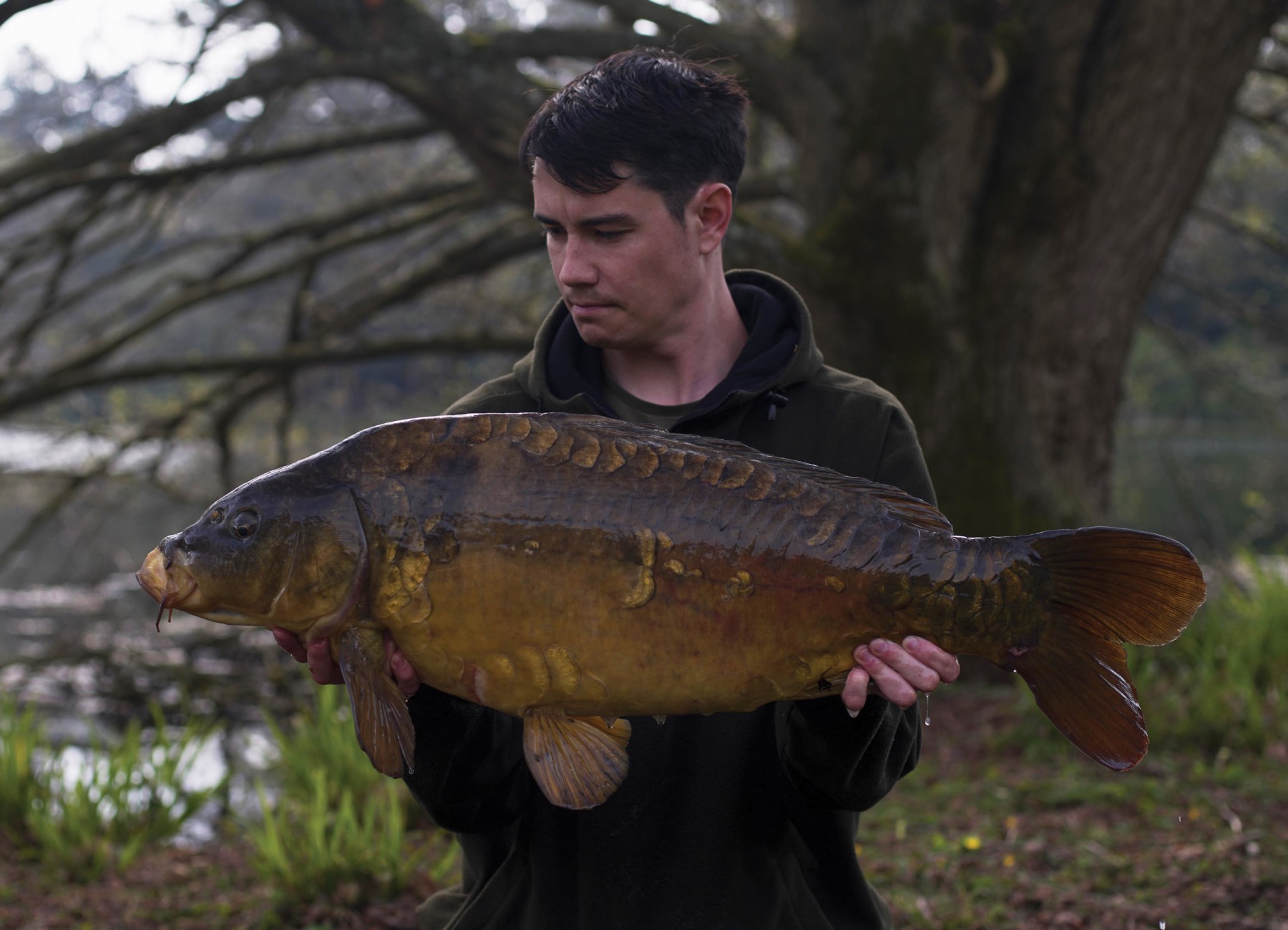 More estate lake classics