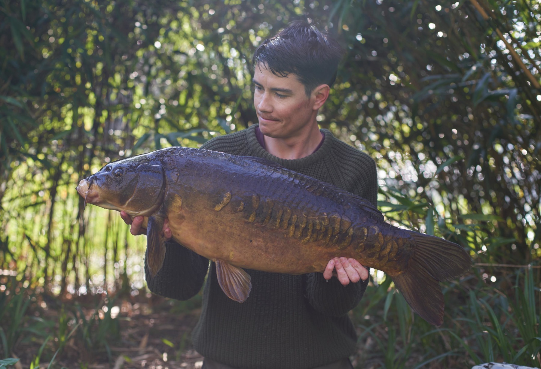 More estate lake classics