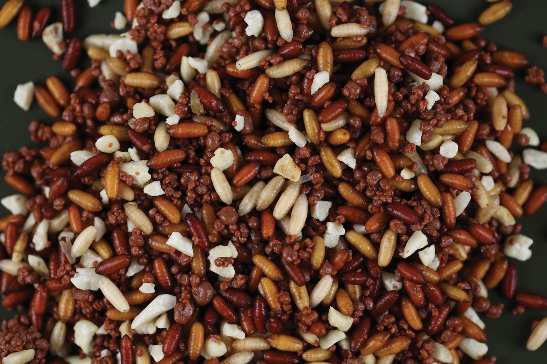 Mix 1: Casters + Krill Clusters + Peanuts