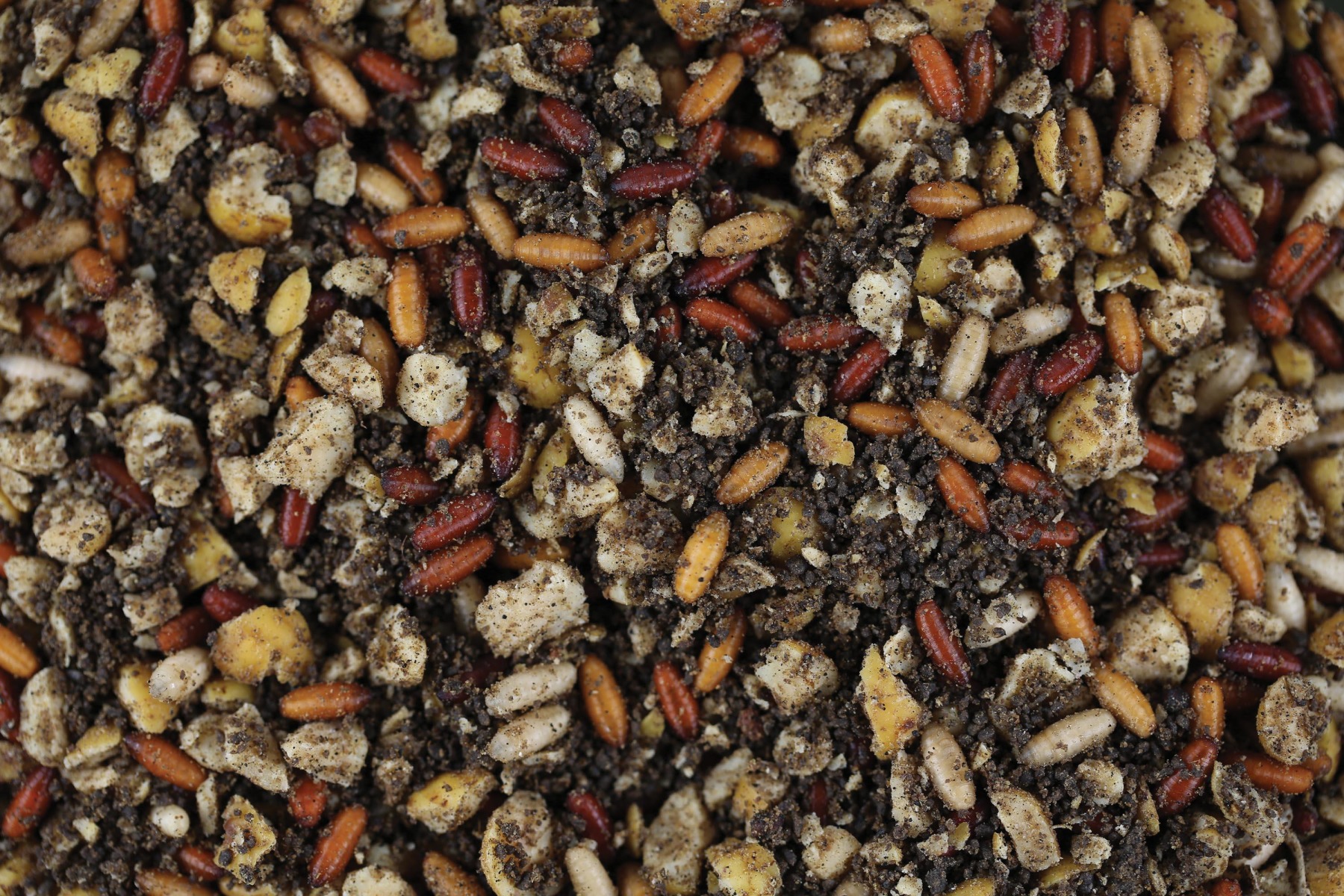 Mix 5: Casters + Crushed Tigers + Salmon Fry Crumb