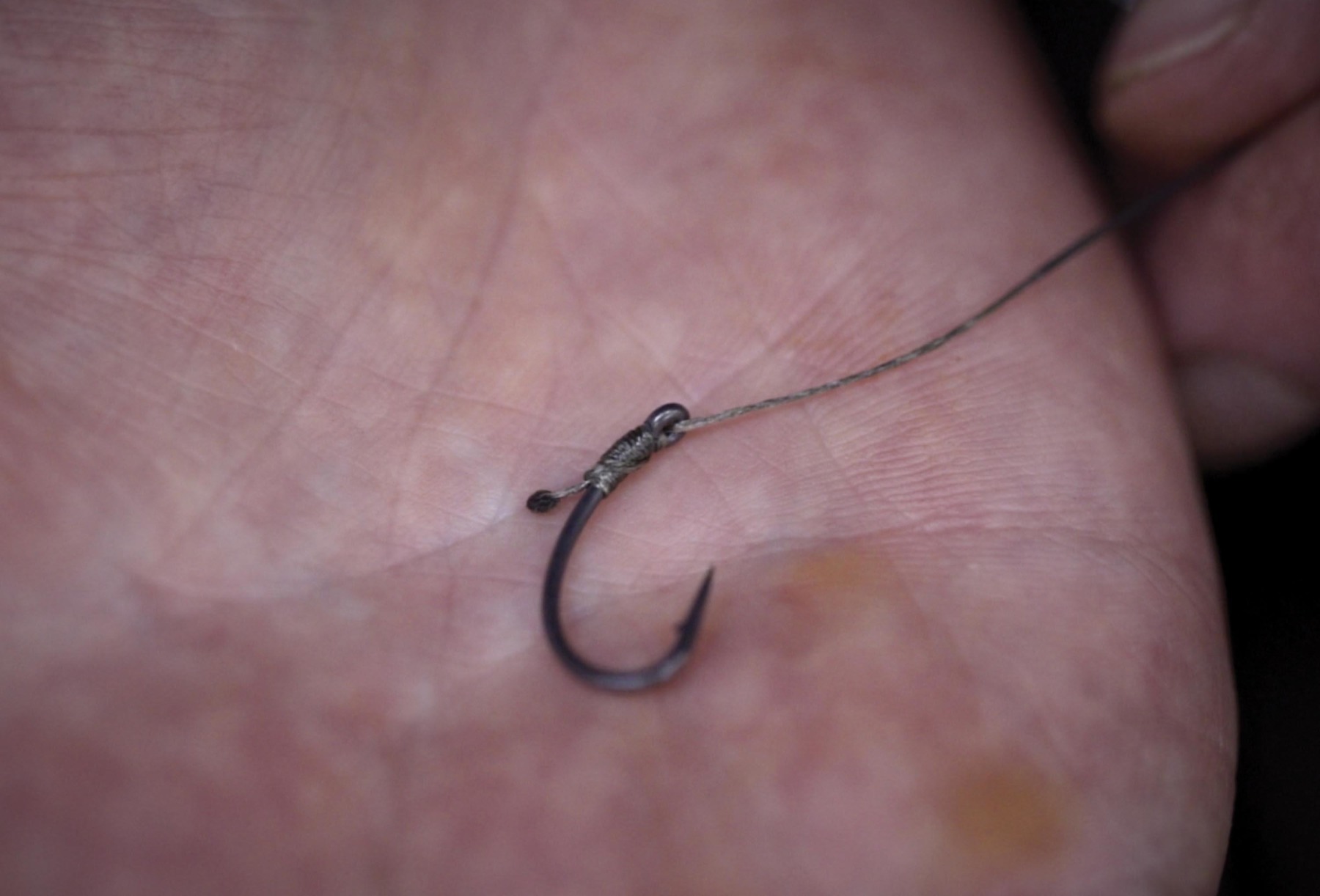 1. First the hook is tied on Knotless Knot style