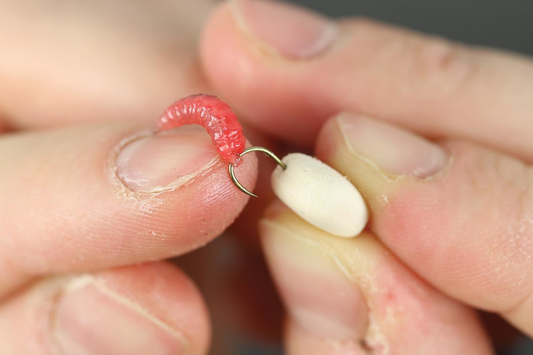 11. Take the hook out of the corn and thread the maggots on.Β