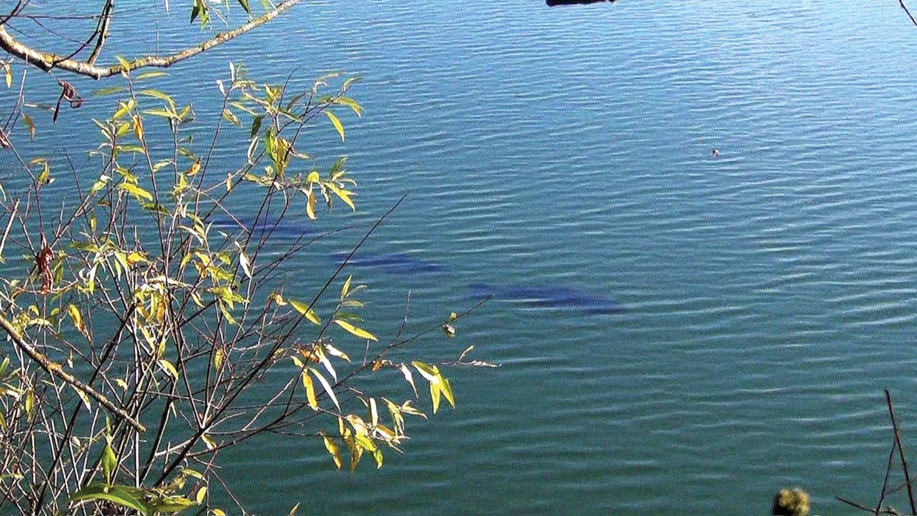 Lake 8 residents moving from the north-west corner