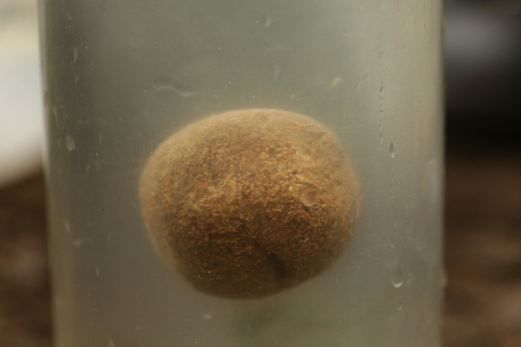 11. Mitch likes the baits to sink slow and then gradually float back up.