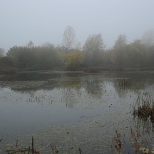 Spitfire pool, another small water where the carp seemed to do everything in slow motion