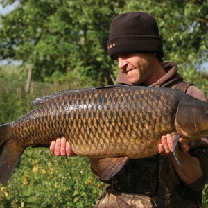 Big pit common. Mean and lean 