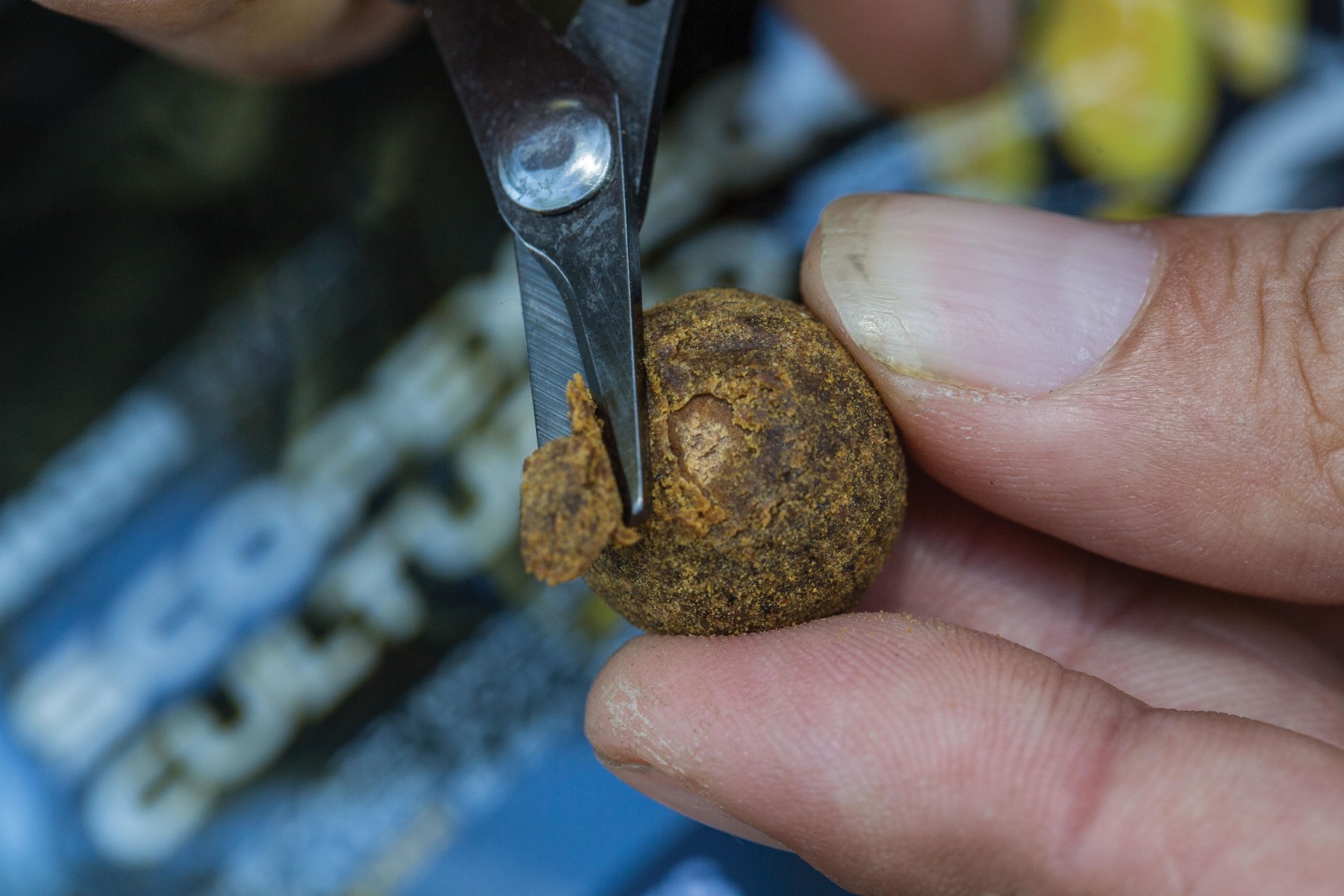 Remove some coating to reveal the core of a 15mm Cultured Hookbait. 