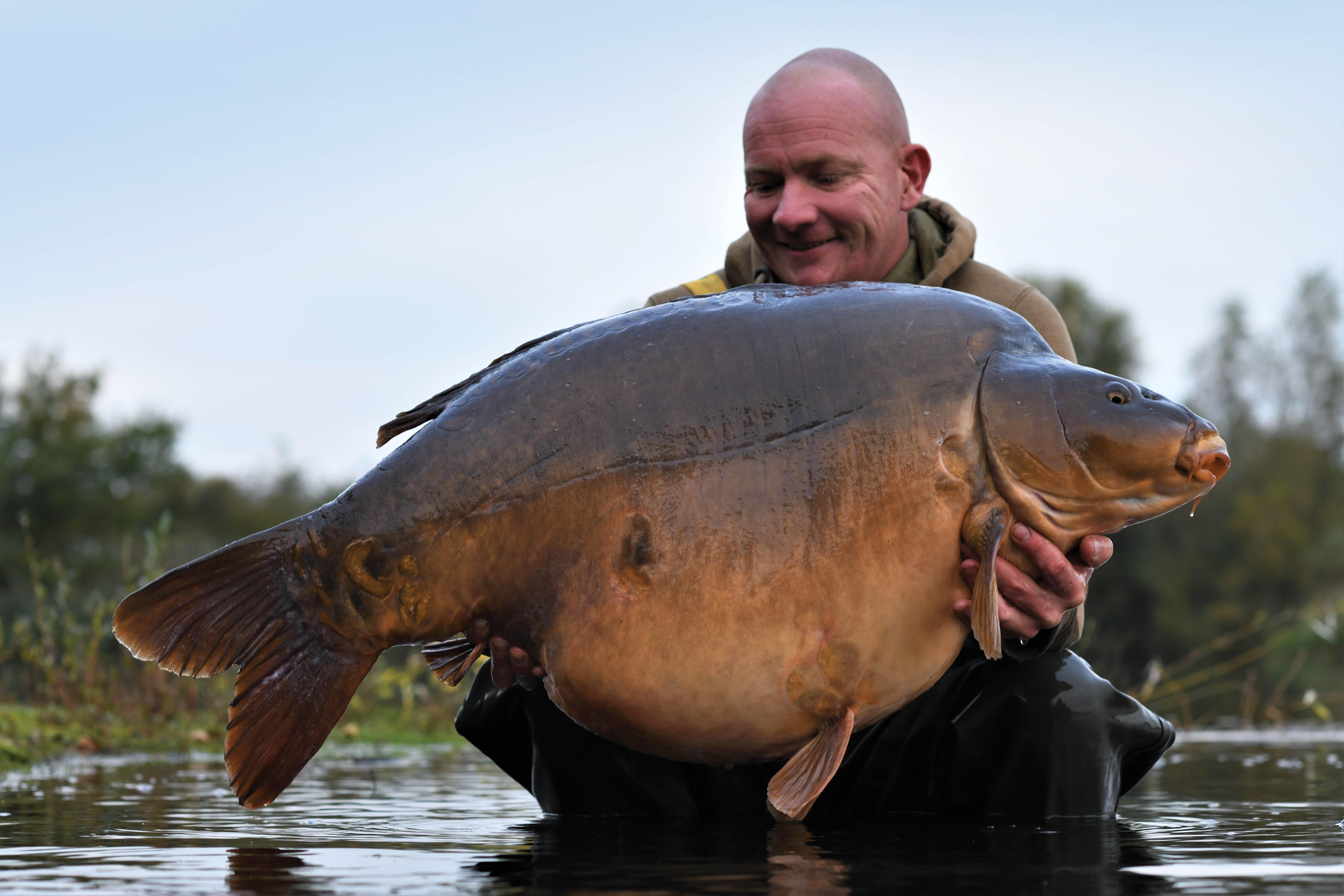 Never seen a fish that size before!' Angler catches Britain's biggest EVER  carp at 68lb, Nature, News