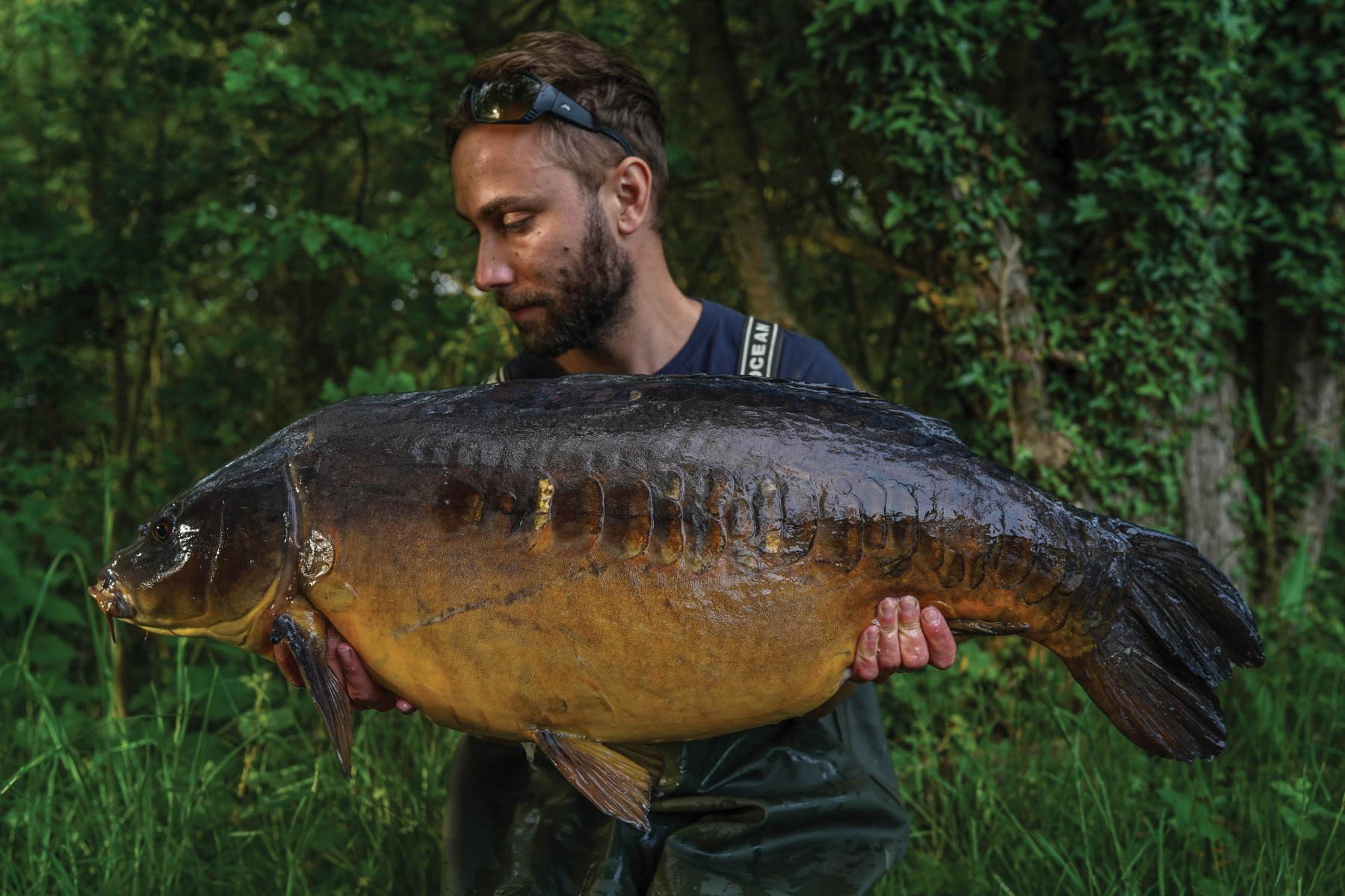 An awesome Half-Lin from the spring that took a liking to a washed-out hookbait on the Hinge