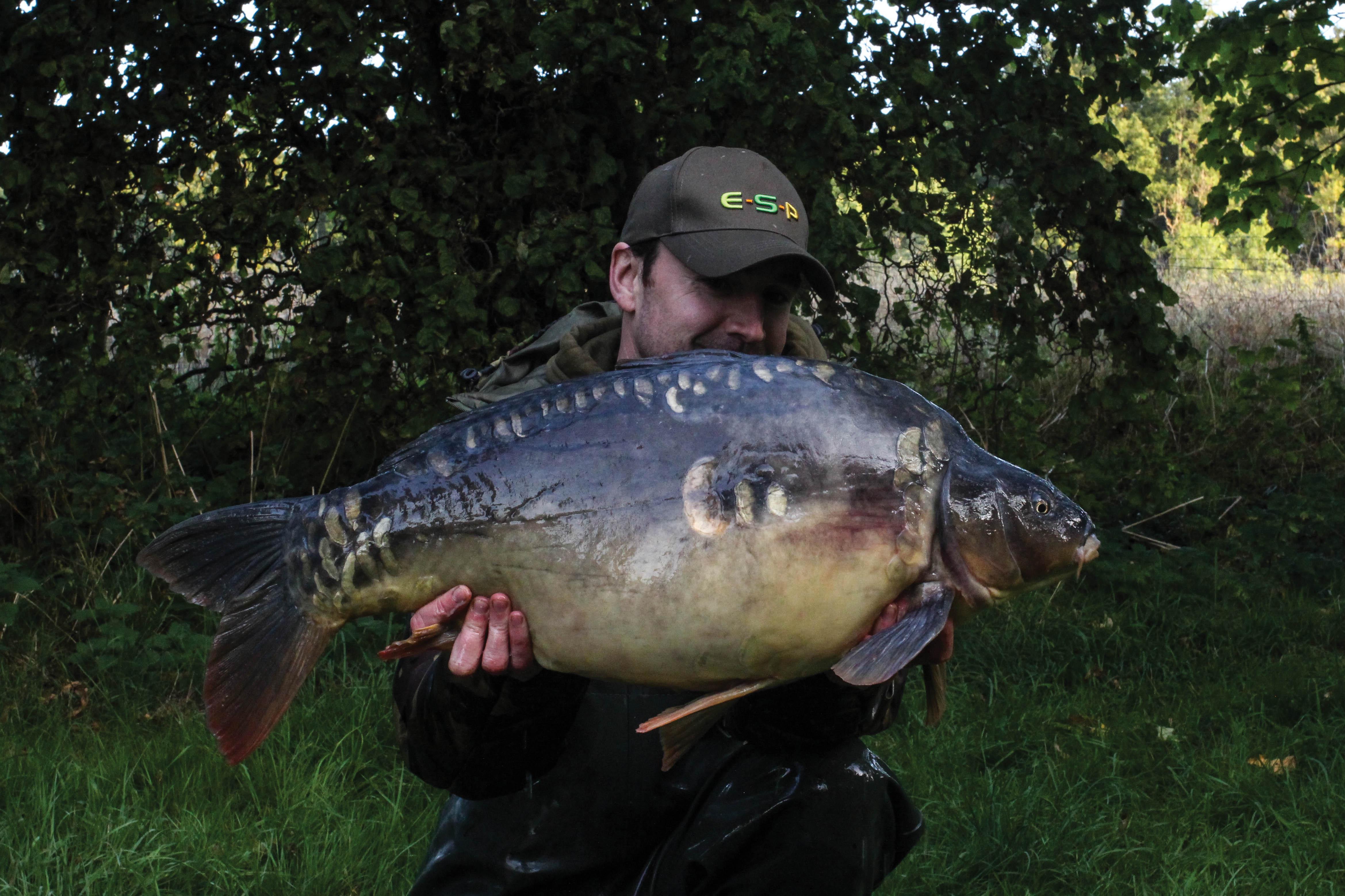 How To Tie A Simple Catfish Rig - Carp Fishing Quickbite 