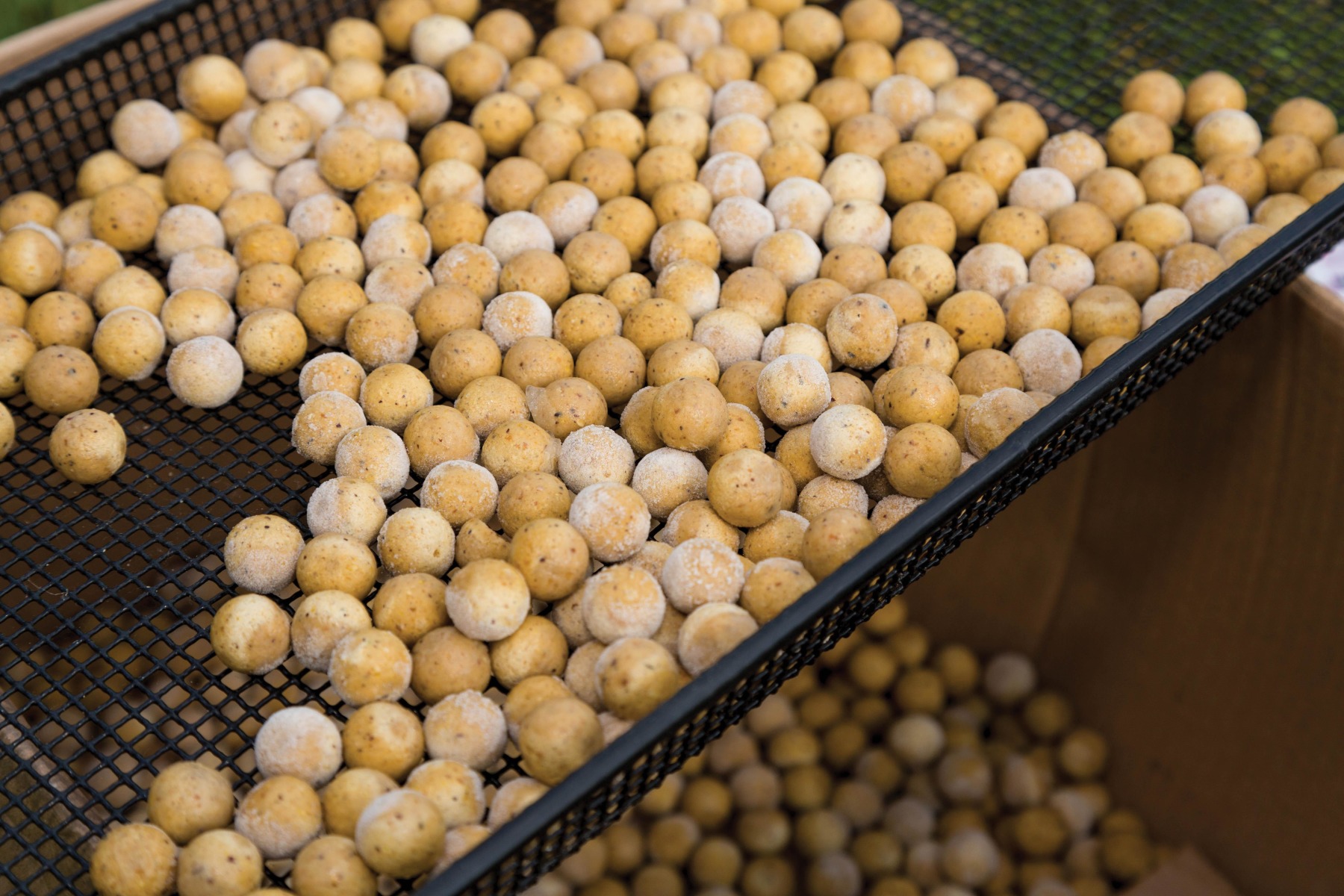 1. Tip your boilies out in single layers on cardboard boxes or a mesh - never let them defrost in the bag.
