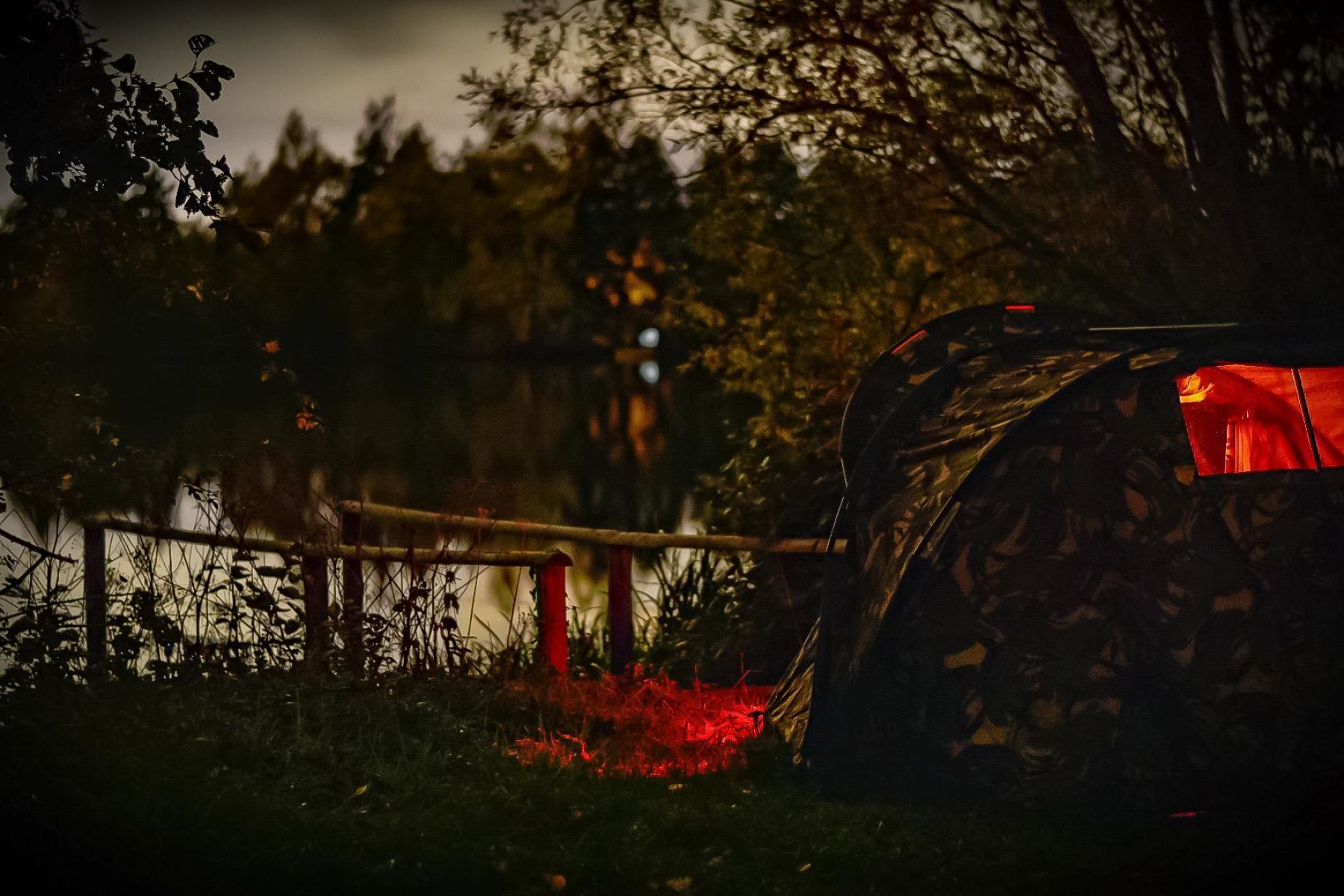 AUTUMN VIBES! 15 second exposure/f1.4/50mm