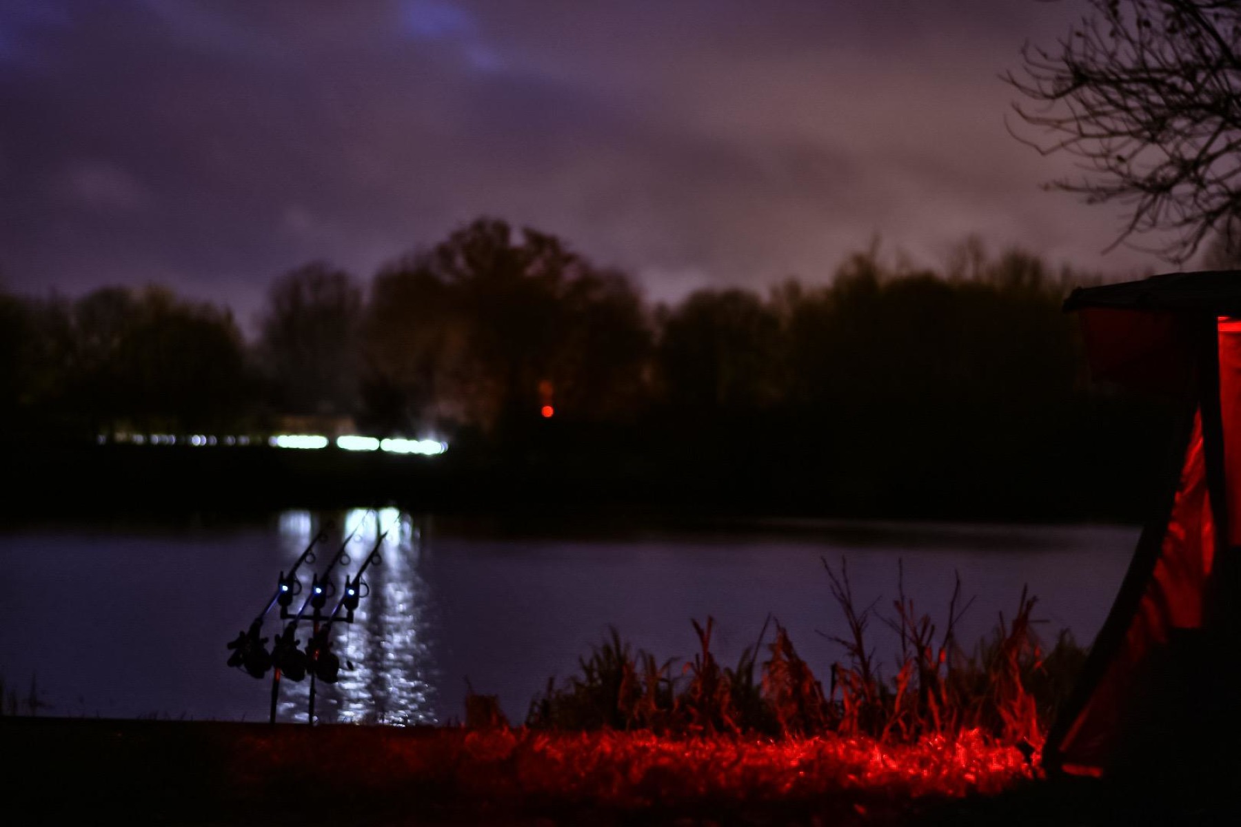 NIGHT-LIGHTS! 15 second exposure f1.8 50mm